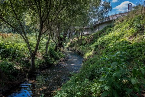 Farm hus i Tabua, Coimbra, Tabua - € 175.000 | Ref: C0203-01705 - foto 26