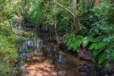 Farm hus i Tabua, Coimbra, Tabua - € 175.000 | Ref: C0203-01705 - foto 29