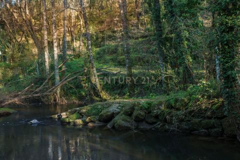Farm hus i Tabua, Coimbra, Tabua - € 175.000 | Ref: C0203-01705 - foto 30