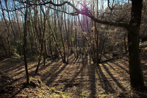 Farm hus i Tabua, Coimbra, Tabua - € 175.000 | Ref: C0203-01705 - foto 31
