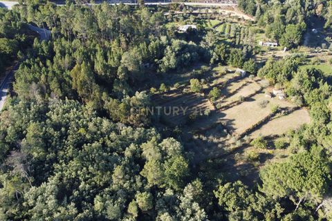 Helårsgrund i Viseu, Viseu, Viseu - € 65.000 | Ref: C0203-01817 - foto 3