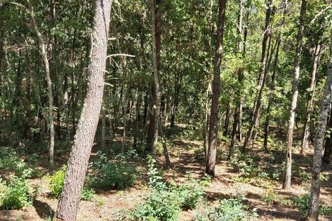 Helårsgrund i Viseu, Viseu, Viseu - € 65.000 | Ref: C0203-01817 - foto 5