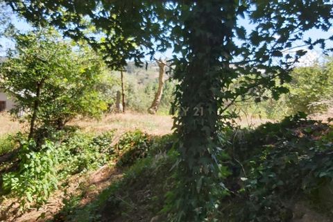 Helårsgrund i Viseu, Viseu, Viseu - € 65.000 | Ref: C0203-01817 - foto 6