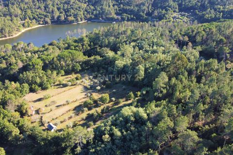 Helårsgrund i Viseu, Viseu, Viseu - € 65.000 | Ref: C0203-01817 - foto 8