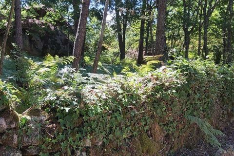 Helårsgrund i Viseu, Viseu, Viseu - € 65.000 | Ref: C0203-01817 - foto 9