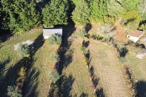 Helårsgrund i Viseu, Viseu, Viseu - € 65.000 | Ref: C0203-01817 - foto 14