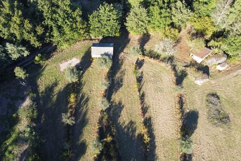 Helårsgrund i Viseu, Viseu, Viseu - € 65.000 | Ref: C0203-01817 - foto 15