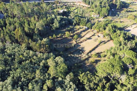 Helårsgrund i Viseu, Viseu, Viseu - € 65.000 | Ref: C0203-01817 - foto 16
