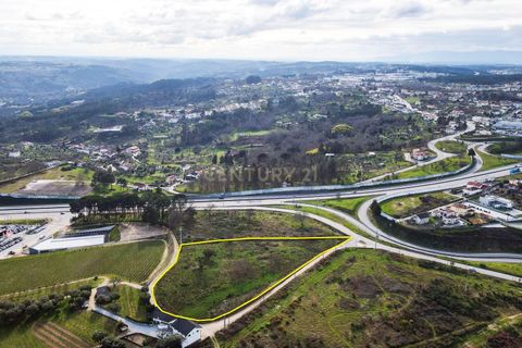 Helårsgrund i Viseu, Viseu, Viseu - € 550.000 | Ref: C0203-01936 - foto 1