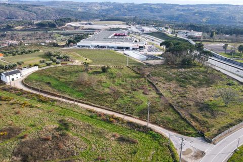 Helårsgrund i Viseu, Viseu, Viseu - € 550.000 | Ref: C0203-01936 - foto 2