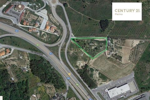 Helårsgrund i Viseu, Viseu, Viseu - € 550.000 | Ref: C0203-01936 - foto 3