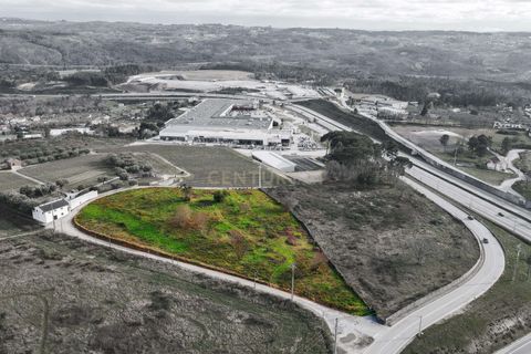 Helårsgrund i Viseu, Viseu, Viseu - € 550.000 | Ref: C0203-01936 - foto 8