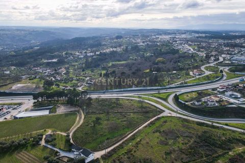 Helårsgrund i Viseu, Viseu, Viseu - € 550.000 | Ref: C0203-01936 - foto 9