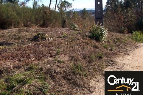 Terra a Abraveses, Viseu, Abraveses - € 19.000 | Ref: C0203-00885 - foto 2