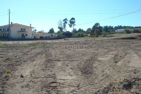 Helårsgrund i Viseu, Viseu, Viseu - € 550.000 | Ref: C0203-01635 - foto 5