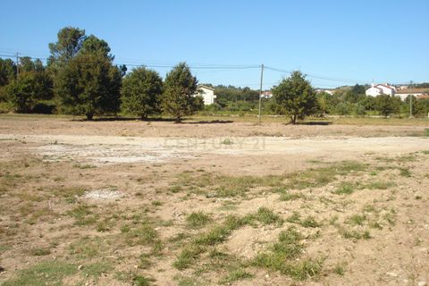 Helårsgrund i Viseu, Viseu, Viseu - € 550.000 | Ref: C0203-01635 - foto 8