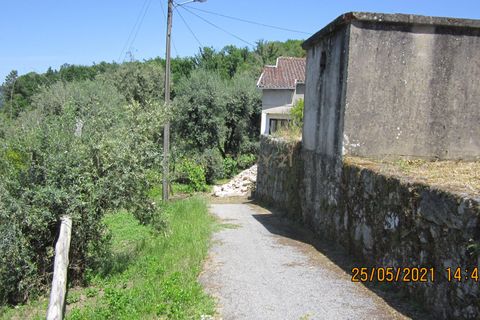 Helårsgrund i Tondela, Viseu, Tondela - € 37.500 | Ref: C0203-01759 - foto 3