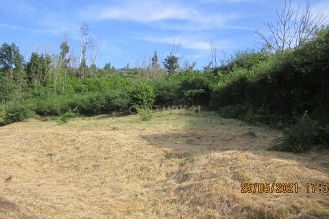 Helårsgrund i Tondela, Viseu, Tondela - € 37.500 | Ref: C0203-01759 - foto 5