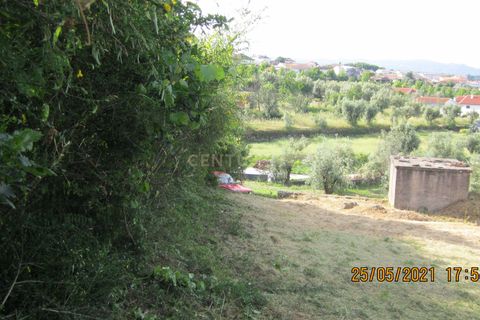 Helårsgrund i Tondela, Viseu, Tondela - € 37.500 | Ref: C0203-01759 - foto 6