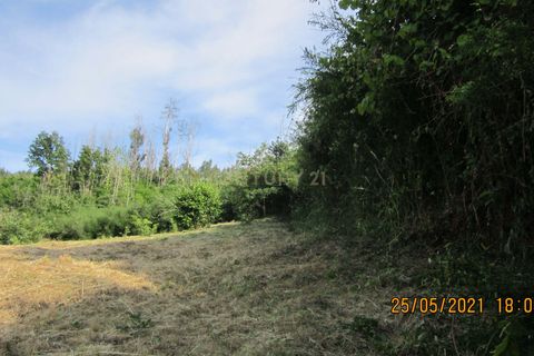 Helårsgrund i Tondela, Viseu, Tondela - € 37.500 | Ref: C0203-01759 - foto 8