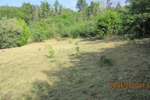 Helårsgrund i Tondela, Viseu, Tondela - € 37.500 | Ref: C0203-01759 - foto 9