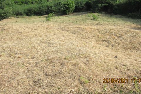 Helårsgrund i Tondela, Viseu, Tondela - € 37.500 | Ref: C0203-01759 - foto 10