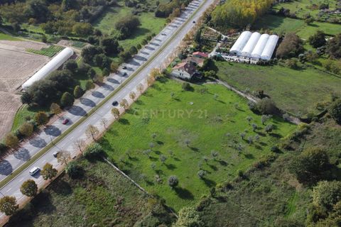 Helårsgrund i Viseu, Viseu, Viseu - € 1.250.000 | Ref: C0203-02021 - foto 2
