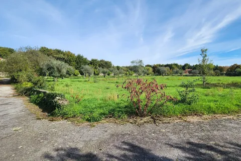 Helårsgrund i Viseu, Viseu, Viseu - € 1.250.000 | Ref: C0203-02021 - foto 3