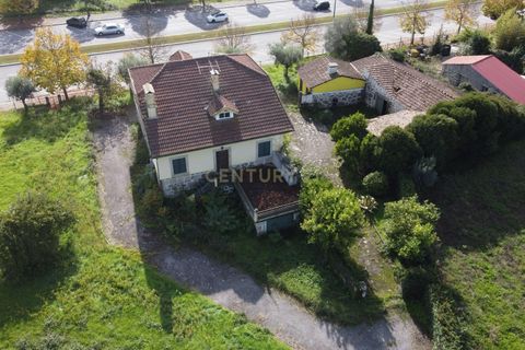 Helårsgrund i Viseu, Viseu, Viseu - € 1.250.000 | Ref: C0203-02021 - foto 4