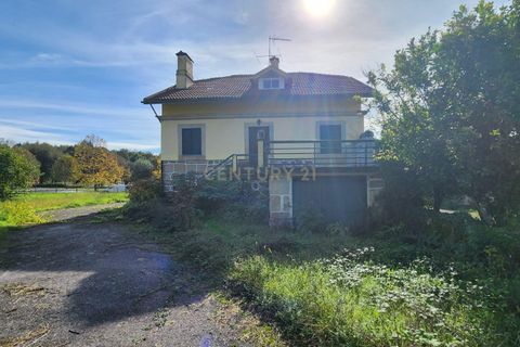 Helårsgrund i Viseu, Viseu, Viseu - € 1.250.000 | Ref: C0203-02021 - foto 9