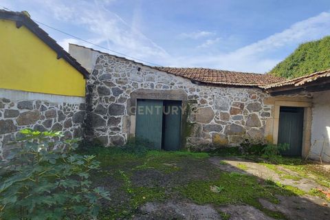 Helårsgrund i Viseu, Viseu, Viseu - € 1.250.000 | Ref: C0203-02021 - foto 12