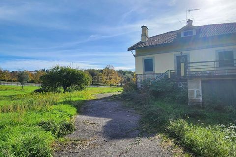 Helårsgrund i Viseu, Viseu, Viseu - € 1.250.000 | Ref: C0203-02021 - foto 13