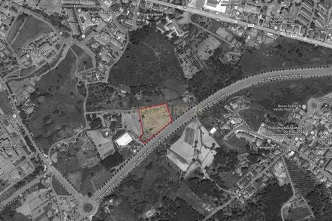 Helårsgrund i Viseu, Viseu, Viseu - € 1.250.000 | Ref: C0203-02021 - foto 15