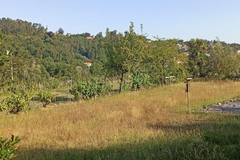 Helårsgrund i Viseu, Viseu, Viseu - € 106.500 | Ref: C0203-01968 - foto 3