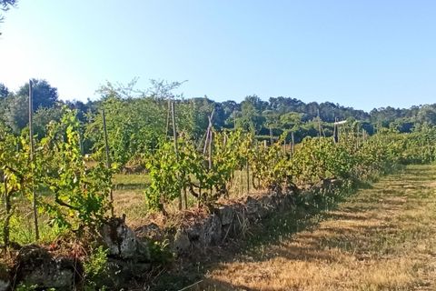 Helårsgrund i Viseu, Viseu, Viseu - € 106.500 | Ref: C0203-01968 - foto 6