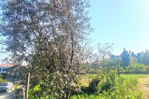 Helårsgrund i Viseu, Viseu, Viseu - € 106.500 | Ref: C0203-01968 - foto 5