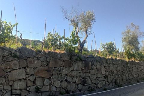 Helårsgrund i Viseu, Viseu, Viseu - € 106.500 | Ref: C0203-01968 - foto 12