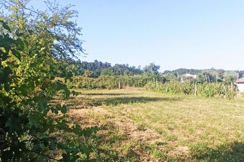 Helårsgrund i Viseu, Viseu, Viseu - € 106.500 | Ref: C0203-01968 - foto 8