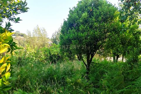 Helårsgrund i Viseu, Viseu, Viseu - € 106.500 | Ref: C0203-01968 - foto 10