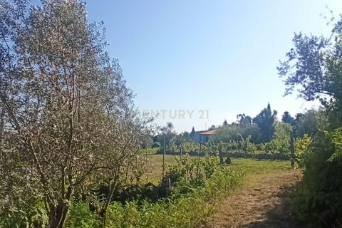 Helårsgrund i Viseu, Viseu, Viseu - € 106.500 | Ref: C0203-01968 - foto 2
