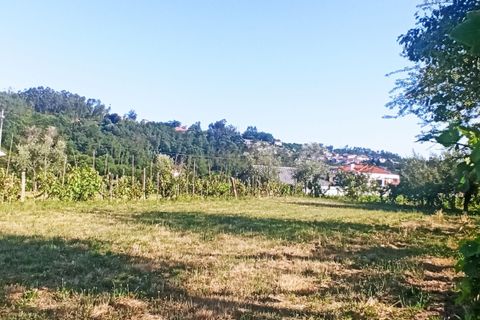 Helårsgrund i Viseu, Viseu, Viseu - € 106.500 | Ref: C0203-01968 - foto 7