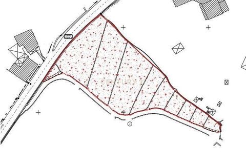 Helårsgrund i Viseu, Viseu, Viseu - € 106.500 | Ref: C0203-01968 - foto 14