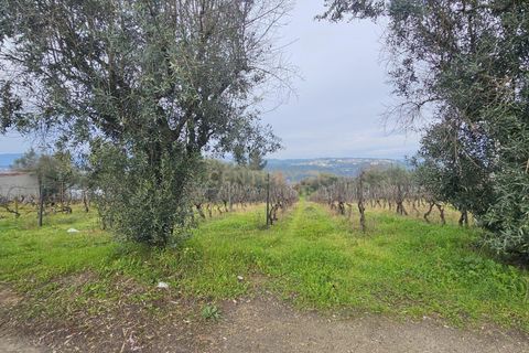 Helårsgrund i Viseu, Viseu, Viseu - € 39.000 | Ref: C0203-02231 - foto 2