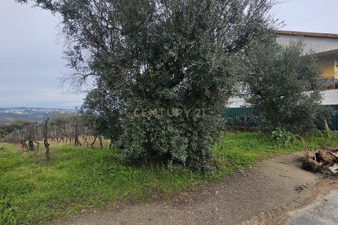 Helårsgrund i Viseu, Viseu, Viseu - € 39.000 | Ref: C0203-02231 - foto 3