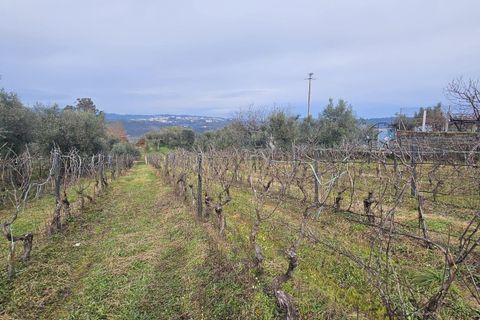 Helårsgrund i Viseu, Viseu, Viseu - € 39.000 | Ref: C0203-02231 - foto 4