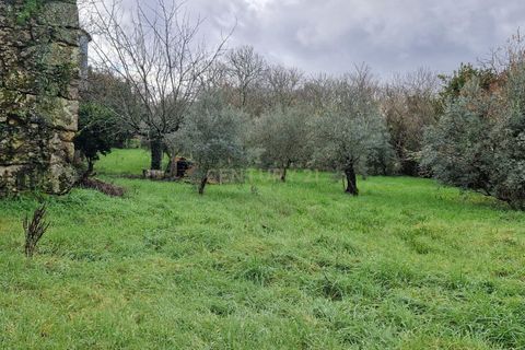 Villa i Viseu, Viseu, Viseu - € 50.000 | Ref: C0203-02239 - foto 6