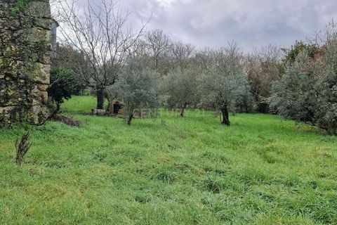 Villa i Viseu, Viseu, Viseu - € 50.000 | Ref: C0203-02239 - foto 7