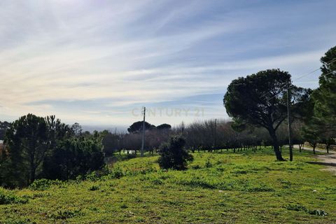 Villa i Viseu, Viseu, Viseu - € 50.000 | Ref: C0203-02239 - foto 8