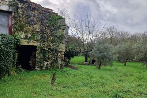 Villa i Viseu, Viseu, Viseu - € 50.000 | Ref: C0203-02239 - foto 5