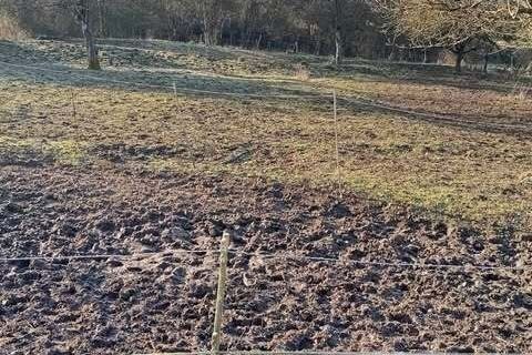 Landsbyhus i Obergailbach, Moselle, Obergailbach - € 129.000 | Ref: fr063149 - foto 9